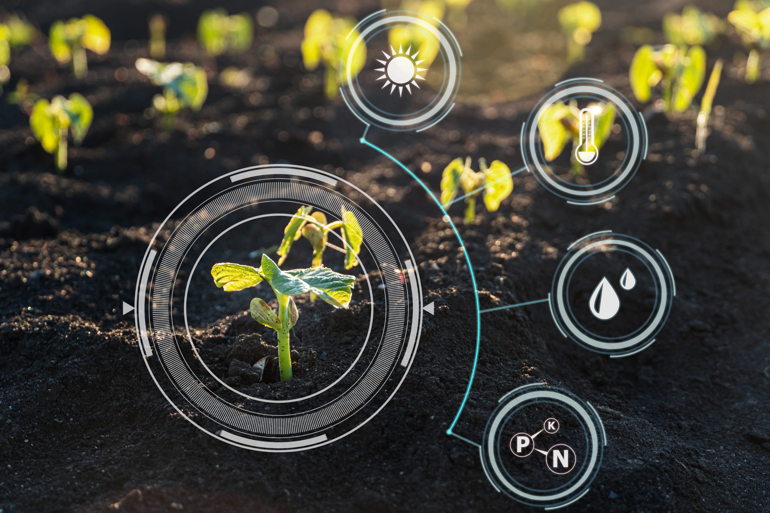 Landwirtschaft | Hof & Pflanzen optimal bewirtschaften mit TimeWaver
